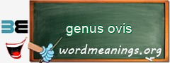 WordMeaning blackboard for genus ovis